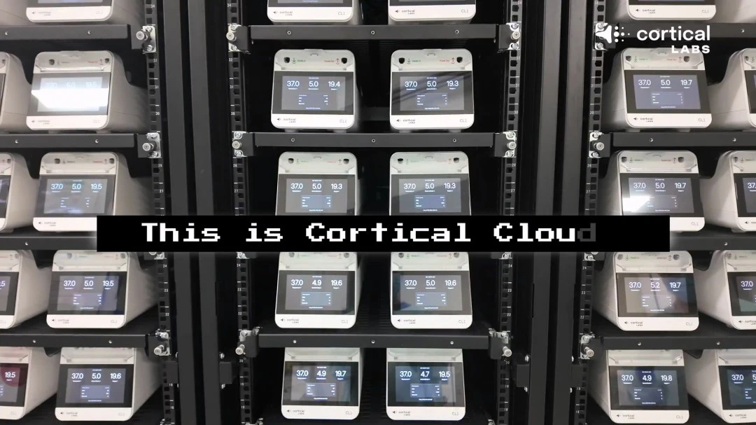 曼联掀起新,一轮裁员风,年功勋员工,亚博娱乐体育YaBo官网,YaBo亚博娱乐娱乐,亚博娱乐体育投注,亚博娱乐体育平台,亚博娱乐赛事直播,亚博娱乐体育app下载