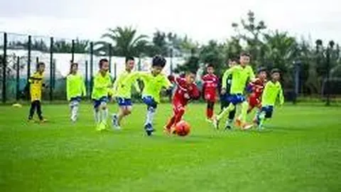 潘展乐新加坡站决赛在即！游泳世界杯首日精彩赛事，央视新闻客户端直播同步！